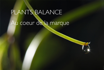 plants balance au coeur de la marque