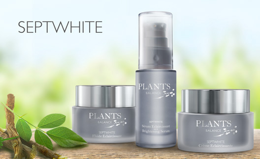 lien collection septwhite