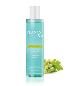 Lotion Tonique Purifiante V2