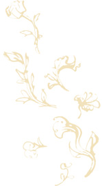 fleurjaune