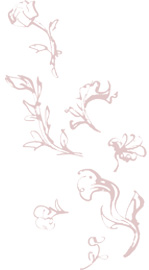 fleurMarron