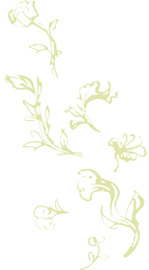 fleurvert